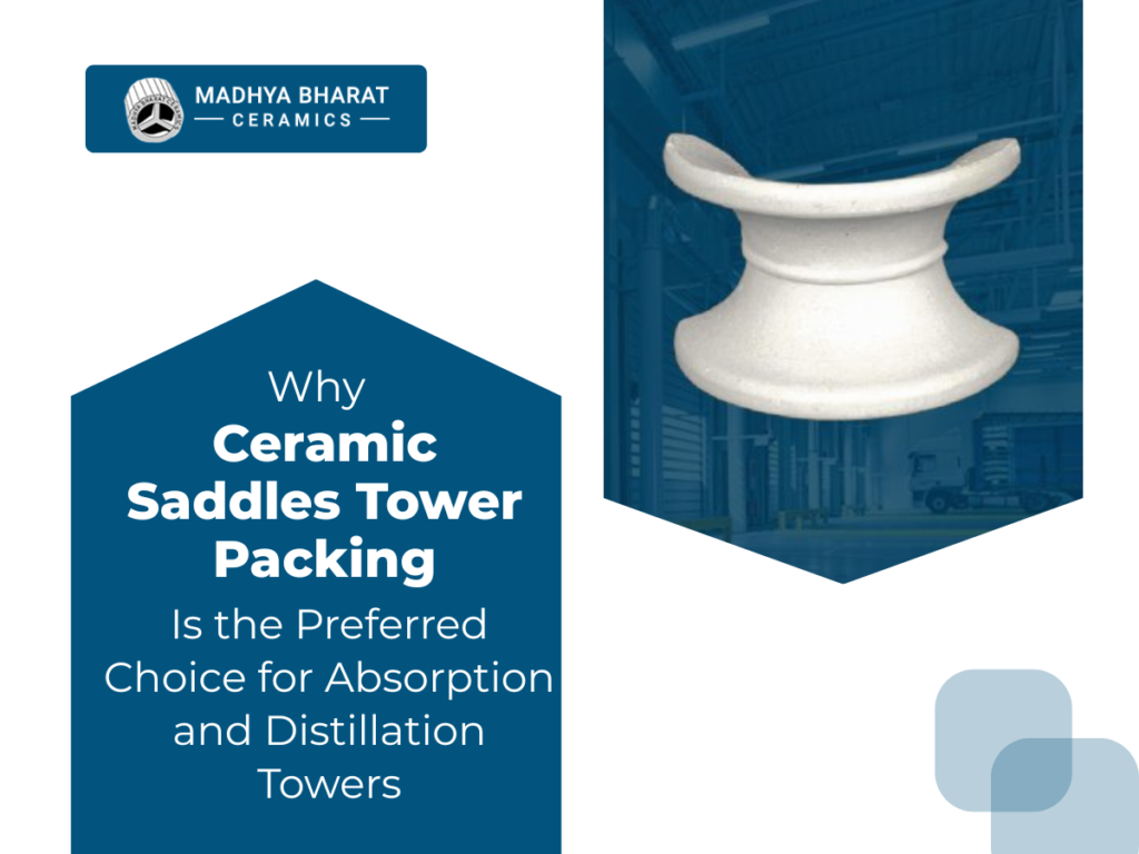 Ceramic Saddles Tower Packing