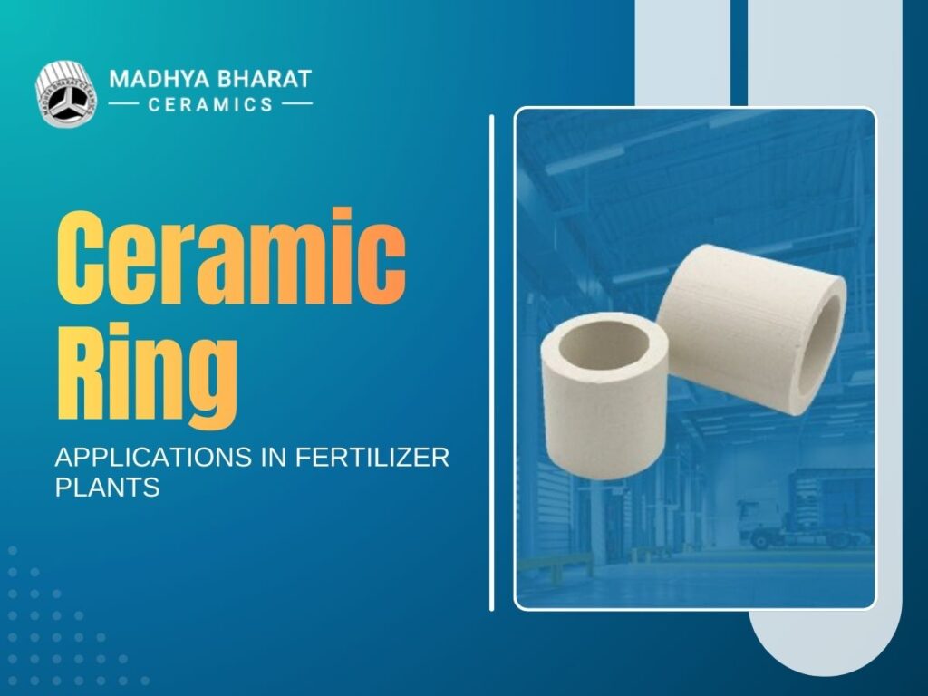 Ceramic rings used in fertilizer plant towers for efficient gas absorption and chemical processing operations